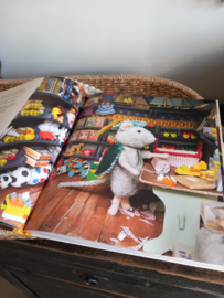 Sinterklaas boek van het Muizenhuis