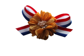 Koningsdag