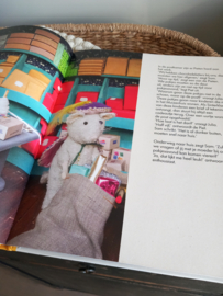 Sinterklaas boek van het Muizenhuis