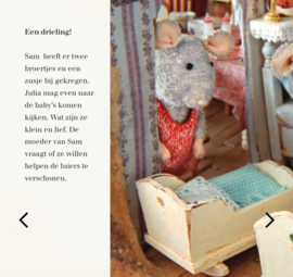 Boekjes: Een drieling in het Muizenhuis