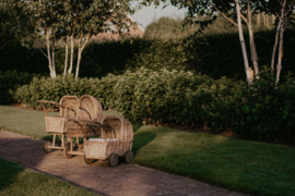 Poppenwagen van riet hoog
