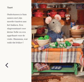 Boekjes: Verjaardag in het Muizenhuis