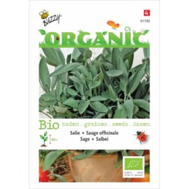 Salie Organic (BIO)