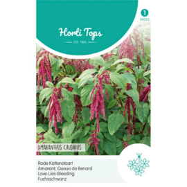 Amaranthus, Rode Kattenstaart