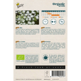 Ammi Majus, Witte Dille Organic (BIO)