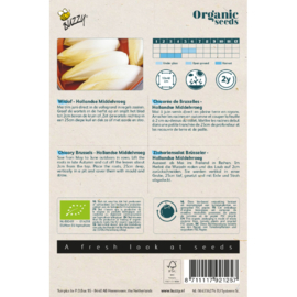 Witlof Hollandse Middelvroeg Organic (BIO)