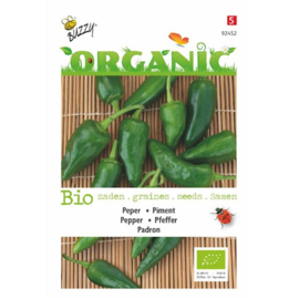 Peper Padron Organic (BIO)