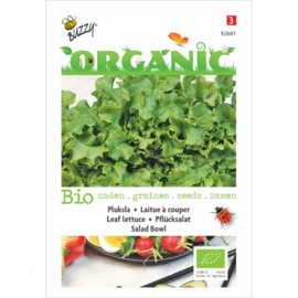 Pluksla Salad Bowl groen (eikenbladsla) organic (BIO)