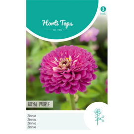 Zinnia Royal Purple (violet)