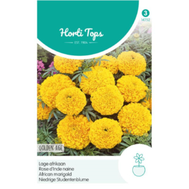 Tagetes, lage Afrikaan Golden Age