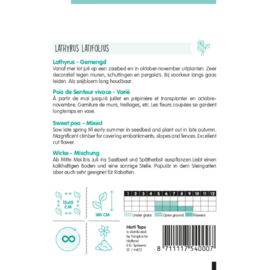 Lathyrus Latifolius, brede Lathyrus, Pronkerwt, Siererwt (gemengd)