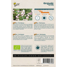 Saponaria, Koekruid (Zeepkruid) Pink Beauty Organic (BIO)