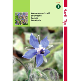 Komkommerkruid (Borage)