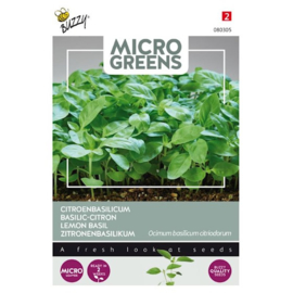 Citroenbasilicum - Microgreens