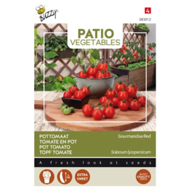 Tomaat Gourmandise Red - lage kerstomaat (Patio Vegetables)