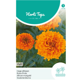 Tagetes, hoge Afrikaan Hawaii oranje