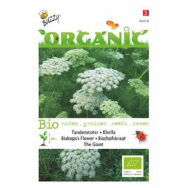 Ammi visnaga, Tandenstoter The Giant Organic (BIO)