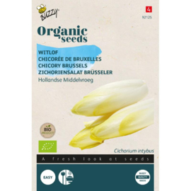 Witlof Hollandse Middelvroeg Organic (BIO)