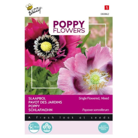 Papaver slaapbol - Poppy Flowers