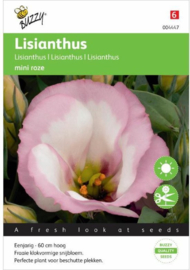 Lisianthus mini roze