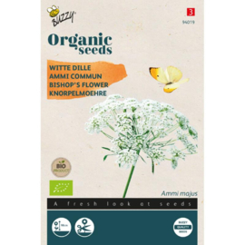 Ammi Majus, Witte Dille Organic (BIO)