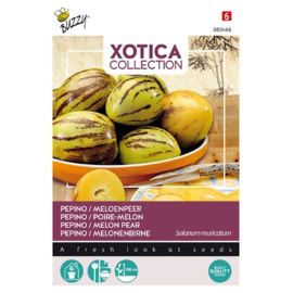 Pepino, Meloenpeer (Xotica)