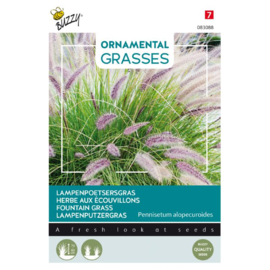 Lampenpoetsersgras - Ornamental Grasses