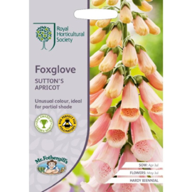 Digitalis, Vingerhoedskruid Foxglove Sutton’s Apricot (Royal Horticultural Seeds)