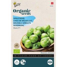 Spruitjes (spruitkool) Doric F1 Organic (BIO)