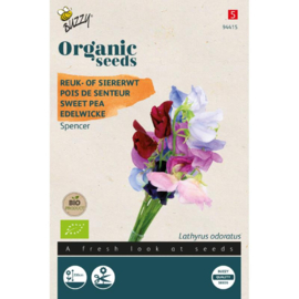 Lathyrus, Reuk- of Siererwt Spencer  Organic (BIO)