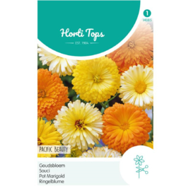 Calendula, Goudsbloem Pacific Beauty gemengd