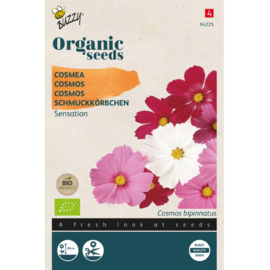 Cosmos Sensation Gemengd Organic (BIO)