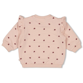 Feetje - Ladybug - Sweater