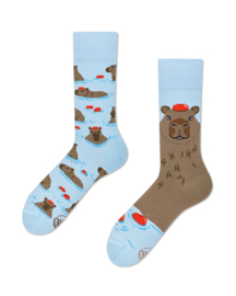 Many Mornings - Mismatched Sokken - Capybara - Capibara
