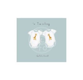 Coos Storm - 'n Tweeling gefeliciteerd!