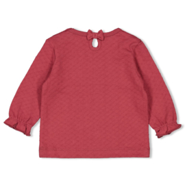 Feetje - Ladybug - Longsleeve Berry
