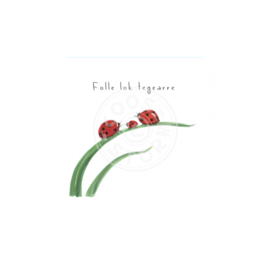 Coos Storm - Folle lok tegearre