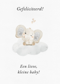 Gefeliciteerd! Een lieve, kleine baby!