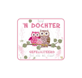 Coos Storm - Hoera! 'n dochter gefeliciteerd - Uilen