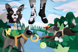 Many Mornings - Mismatched Sokken - Black Dog - Hond