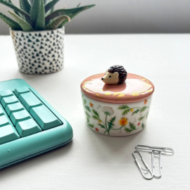 House of Disaster - Secret Garden - Sieradenpotje met egeltje