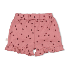 Feetje - Ladybug - Short ajour rib