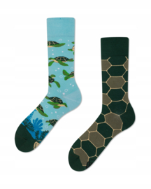 Many Mornings - Mismatched Sokken - Turtle Time - Schildpadden