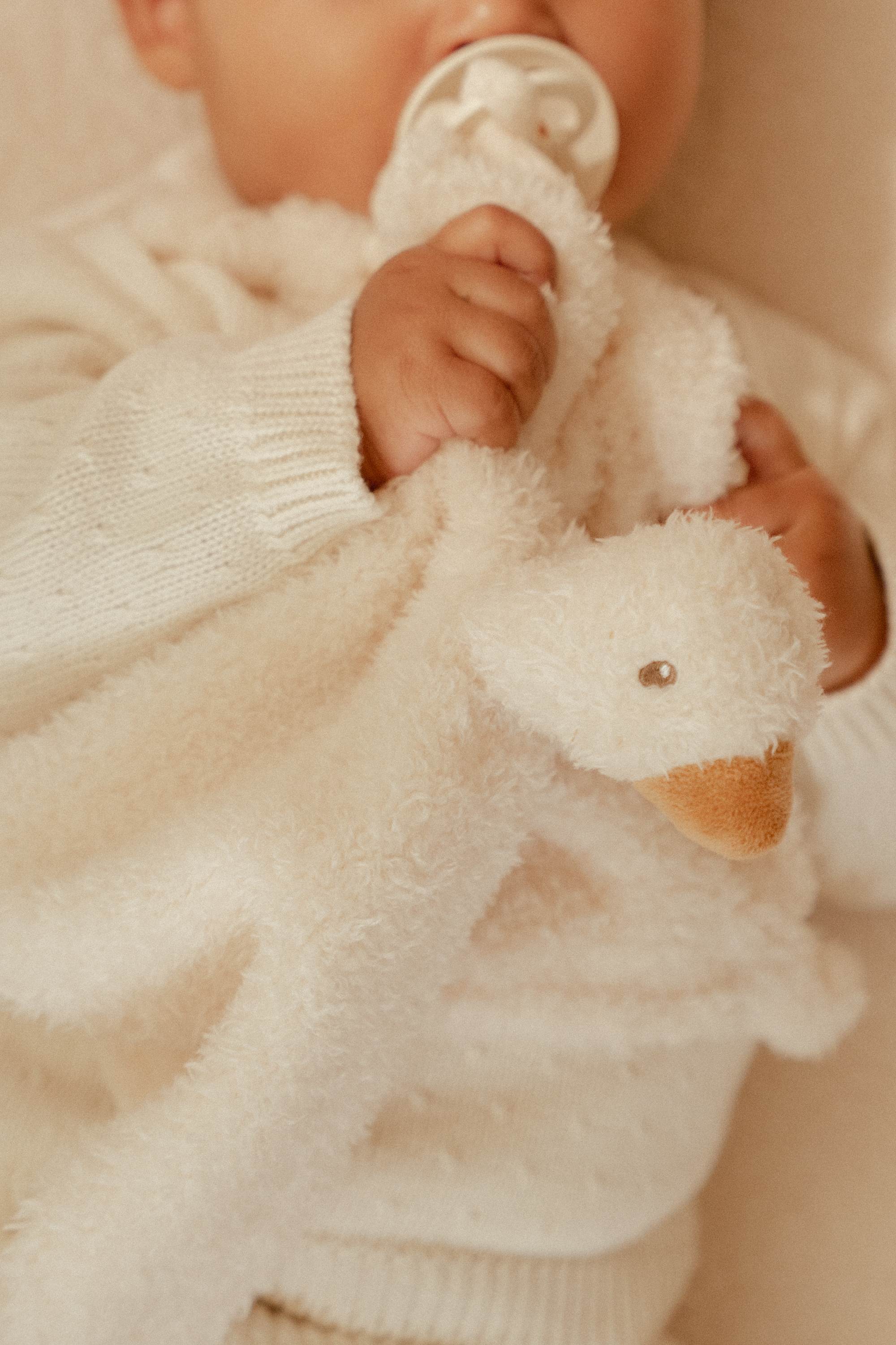Little Dutch - Newborn Naturals - Little Goose - Knuffeldoekje Gans