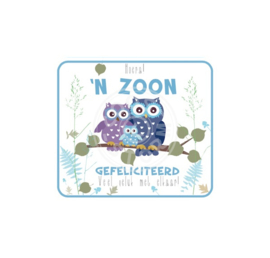 Coos Storm - Hoera! 'n zoon gefeliciteerd - Uilen
