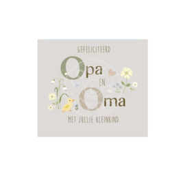 Coos Storm - Gefeliciteerd opa en oma met jullie kleinkind (taupe)