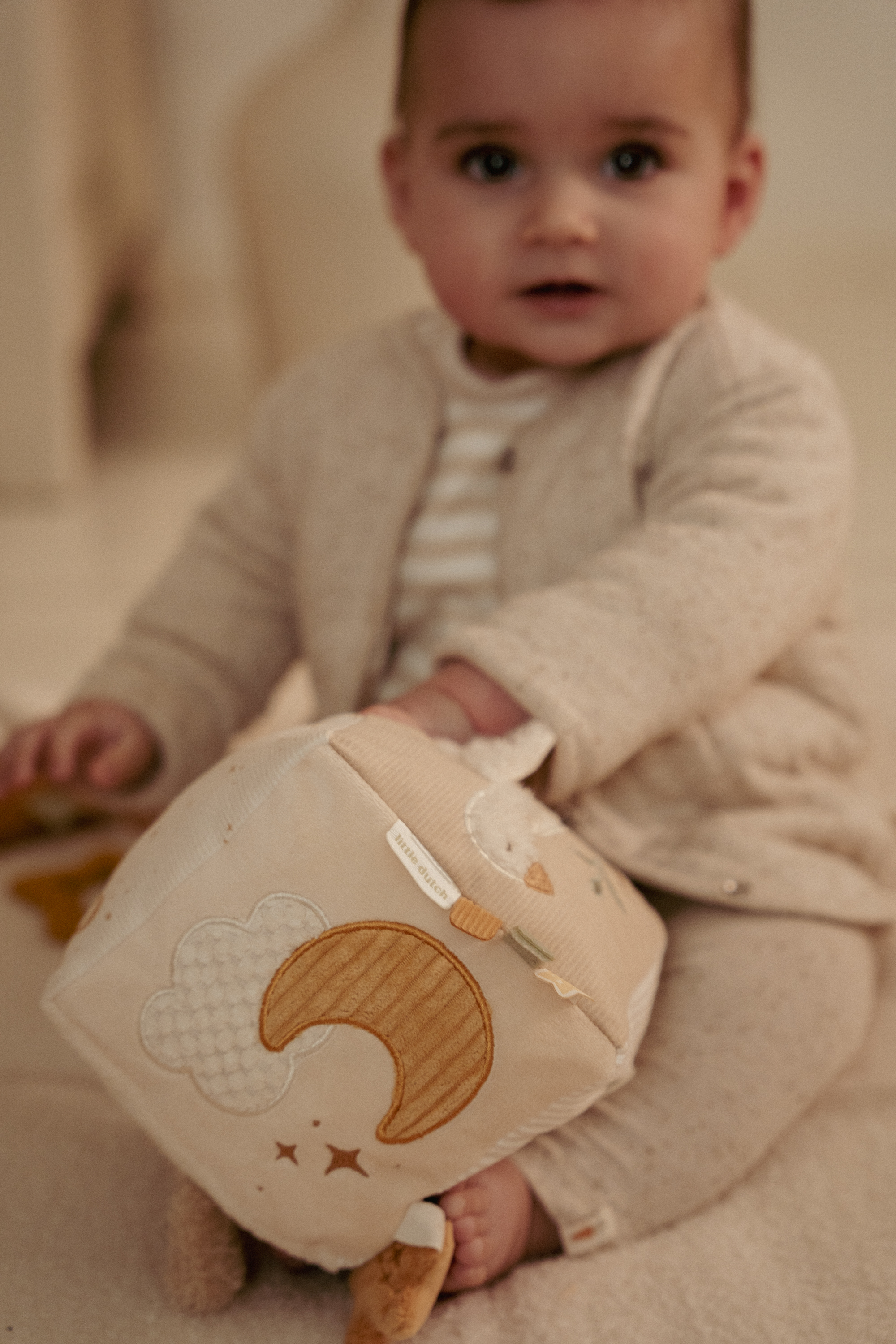 Little Dutch - Newborn Naturals - Little Goose - Activiteitsenkubus