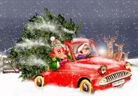 Ingrid Berendsen - IB 061 - Kerstboom halen met de auto