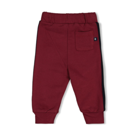 Feetje - Built for fun - Broek Bordeaux