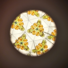 Little Dutch - Forest Friends - Kaleidoscoop FSC